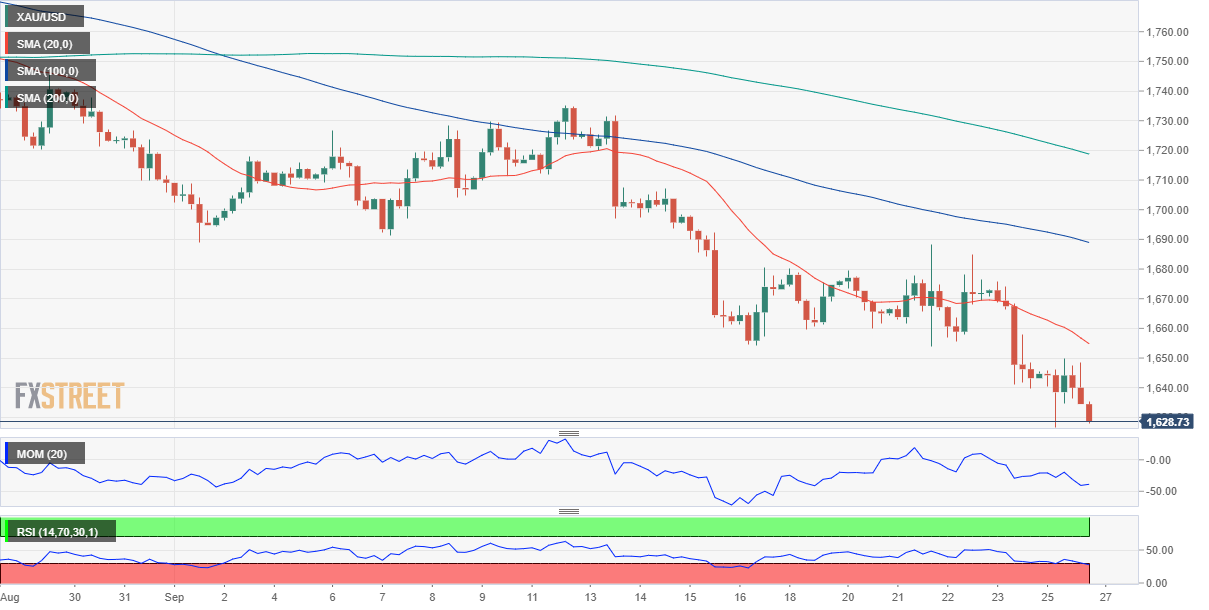 黄金 GOLD 美元 USD XAU FX forex 外汇 金融 交易 投资.png